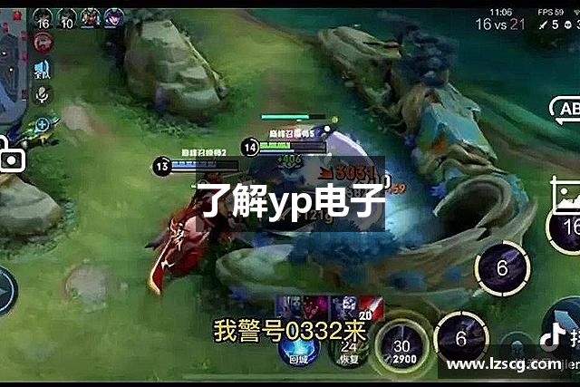 了解yp电子